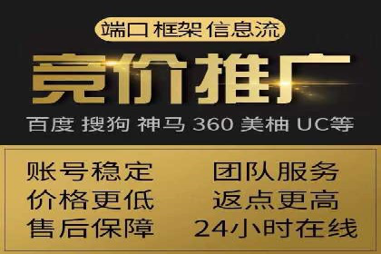 竞价推广公司经典案例：打造行业领先的广告投放效果