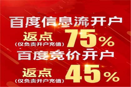 SEM代理助力企业：案例分享，优化策略全解析